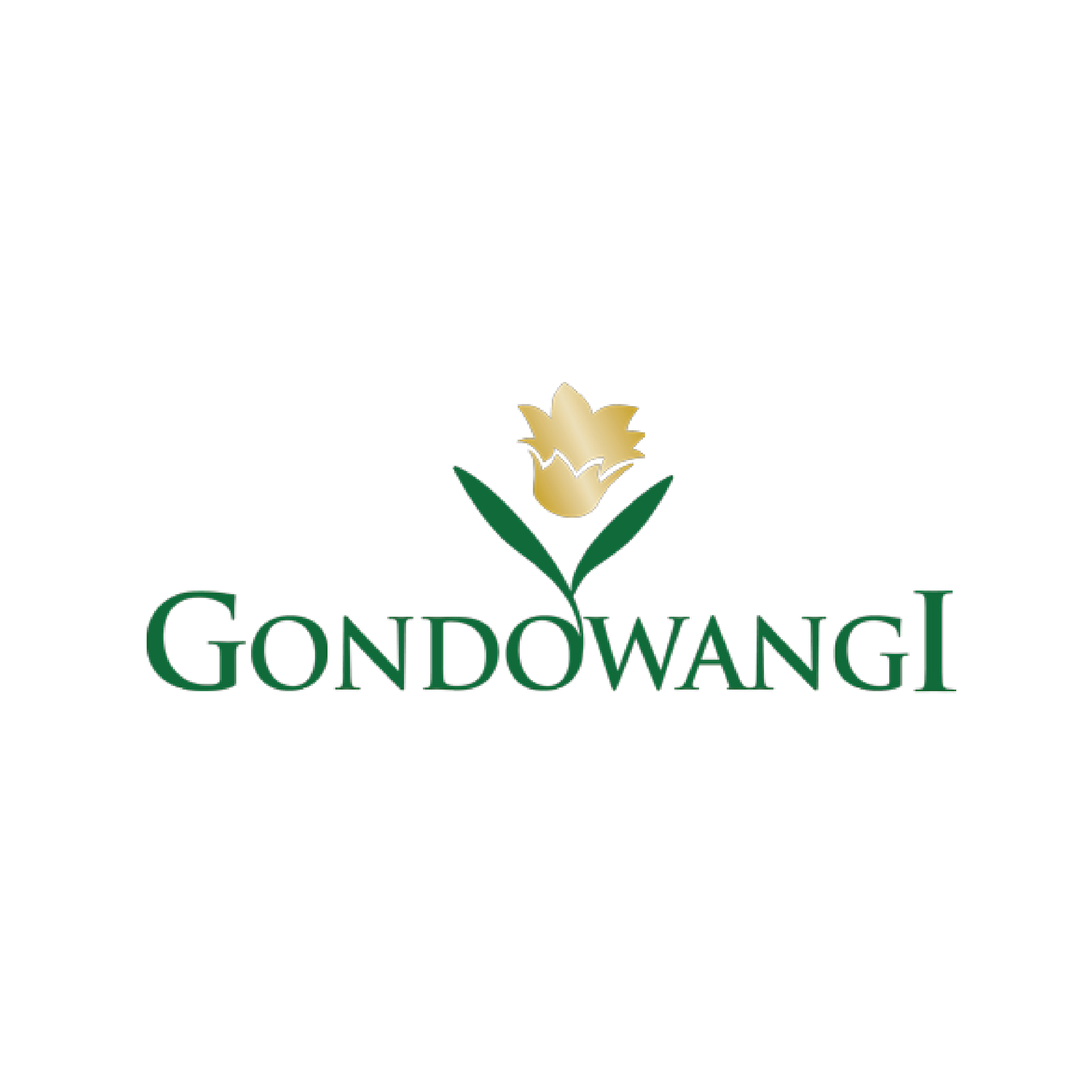 PT Gondowangi